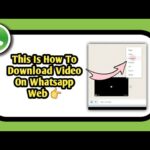 guia-rapida-como-descargar-videos-de-whatsapp-web-de-forma-sencilla