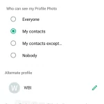 whatsapp-alternativo-como-aprovechar-al-maximo-tu-perfil-alternativo